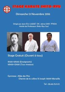 stage-jean-eric-luque-13-11-2016